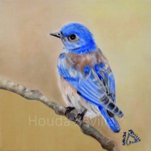 Tableau petit format oiseau artiste Houda Sevilla, Bluebird