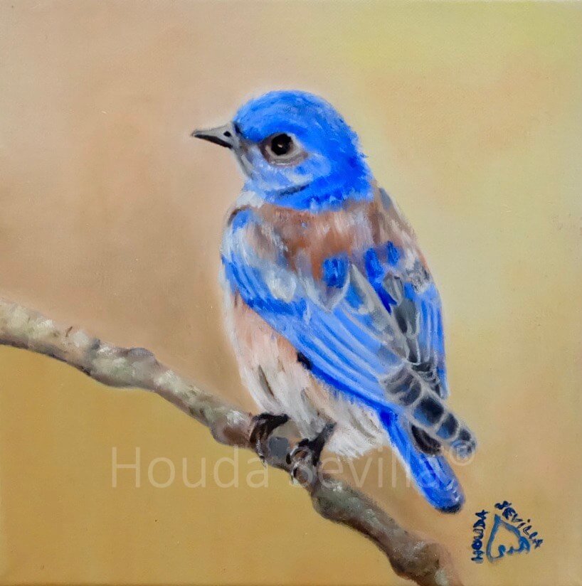 Tableau petit format oiseau artiste Houda Sevilla, Bluebird